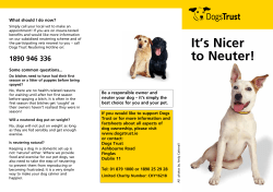 It`s Nicert to Neuter