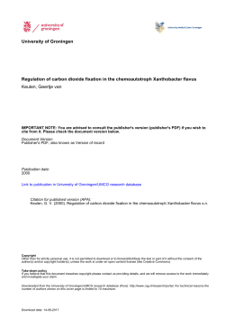 Regulation of carbon dioxide fixation in the chemoautotroph