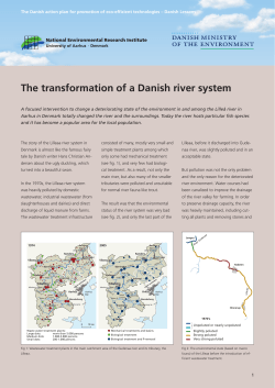 The transformation of a Danish river system