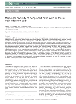 (2009) Molecular diversity of deep short-axon cells of