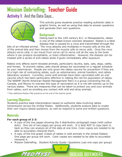 Activity 1 - Web Adventures