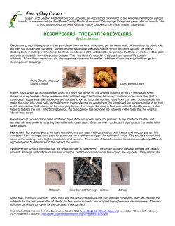 Decomposers: the Earth`s Recyclers