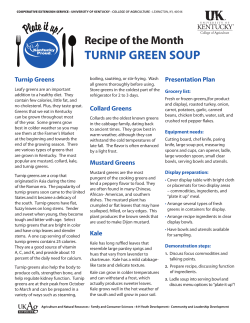 turnip green soup - University of Kentucky