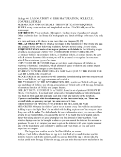 laboratory #1 egg maturation, follicle, corpus