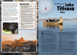 Titicaca - Wild Junket