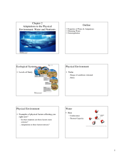 02 Water Notes319Kb