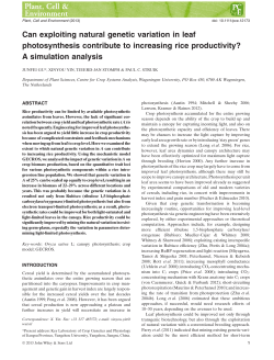 cells, bigger cells or simply reorganization?