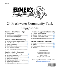 24 Freshwater Community Tank Suggestions