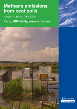 Methane emissions from peat soils (organic soils, histosols)