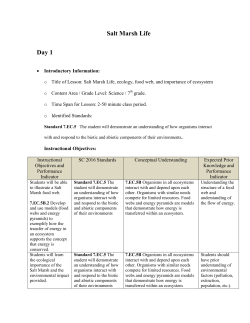Salt Marsh Poster Lesson Plan
