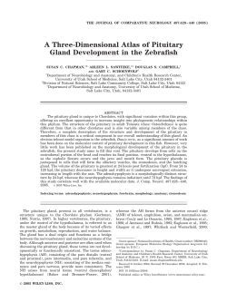 A three-dimensional atlas of pituitary gland development in the