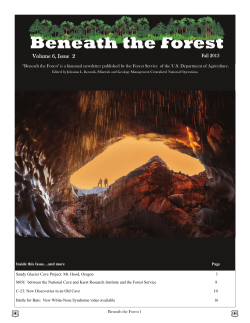 Beneath the Forest - Missouri Caves and Karst Conservancy