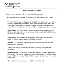 Pouch &ndash; this book will use the word pouch for ileo