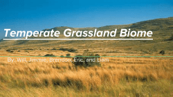 Temperate Grassland Biome