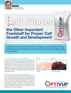 Calf Starter: The Other Important Feedstuff for Proper Calf Growth