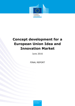 Concept development for a European Union Idea and Innovation