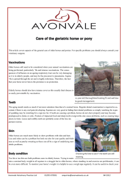 Care of the geriatric horse or pony
