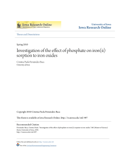Investigation of the effect of phosphate on iron(ii) sorption to iron
