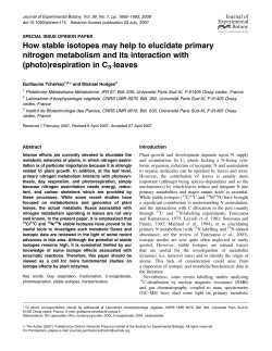 How stable isotopes may help to elucidate primary nitrogen