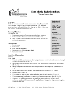 Symbiotic Relationships