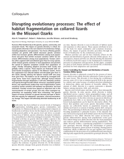 Disrupting evolutionary processes: The effect of habitat