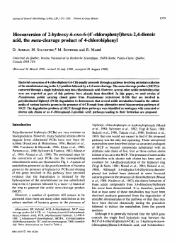 Bioconversion of 2-hydroxy-6-oxo-6-(4`-chlorophenyl