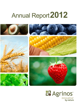Annual report 2012_final