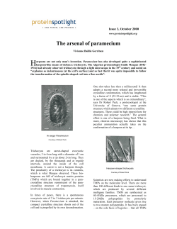 Issue 03_Arsenal of Paramecium