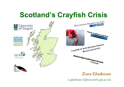 Scotland`s Crayfish Crisis - Biological and Environmental Sciences