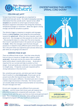 UNDERSTANDING PAIN AFTER SPINAL CORD INJURY