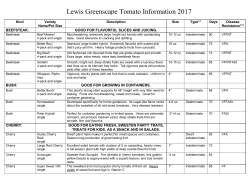 Tomatoes - Lewis Greenscape