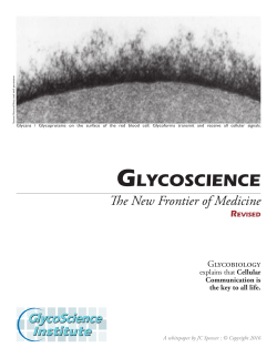 smart sugars and blood - Glycoscience Institute