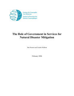 The Role of Government in Services for Natural Disaster Mitigation