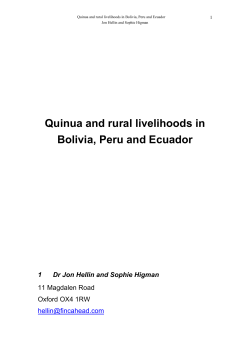 Study on the qui&ntilde;ua sector in Bolivia, Ecuador and Peru