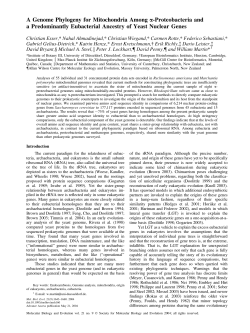 A Genome Phylogeny for Mitochondria Among a