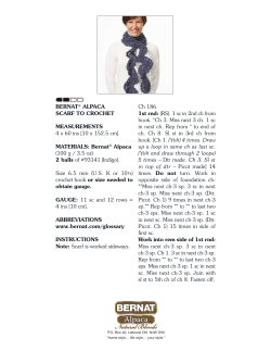 Bernat&reg; Alpaca