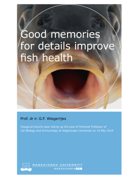 Good memories for details improve fish health