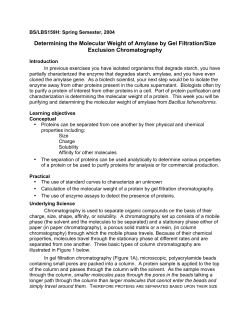 Determining the Molecular Weight of Amylase by Gel Filtration/Size