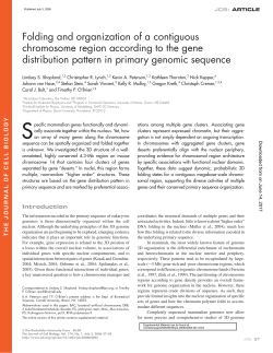 Folding and organization of a contiguous chromosome region