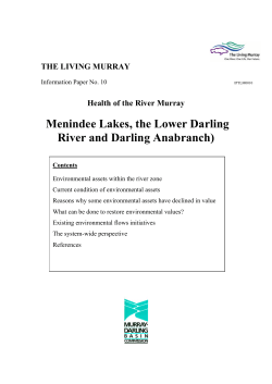 Menindee Lakes, the Lower Darling River and Darling Anabranch)