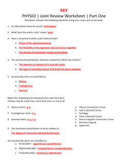 KEY PHYSIO | Joint Review Worksheet | Part One