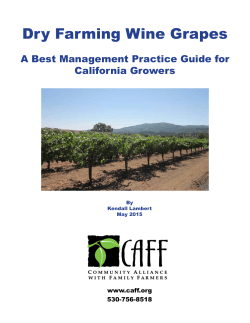 Dry Farming Wine Grapes - Community Alliance with Family Farmers