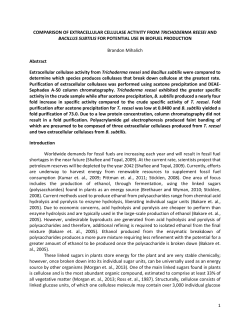 comparison of extracellular cellulase activity