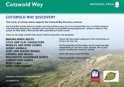 Going Wild activity sheets