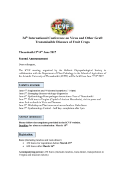 24th ICVF Second Announcement