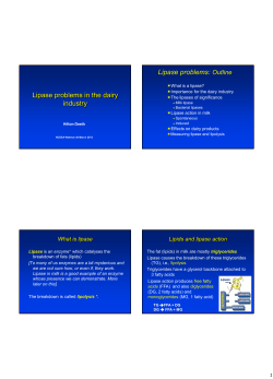 Lipids and lipolysis in milk and milk products: A research journey