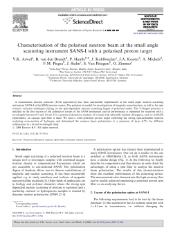 Characterisation of the polarised neutron beam at the small angle