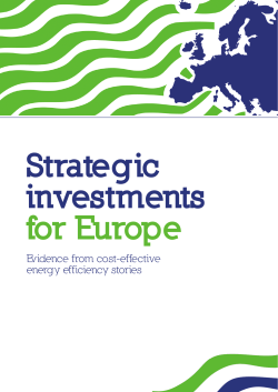 Evidence from cost-effective energy efficiency stories
