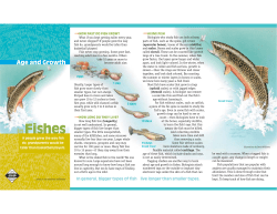 fishage8.5.05 to printer - North Carolina Wildlife Resources