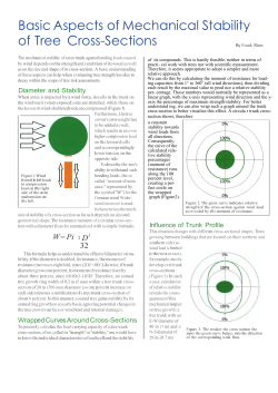 Basic Aspects of Mechanical Stability of Tree Cross